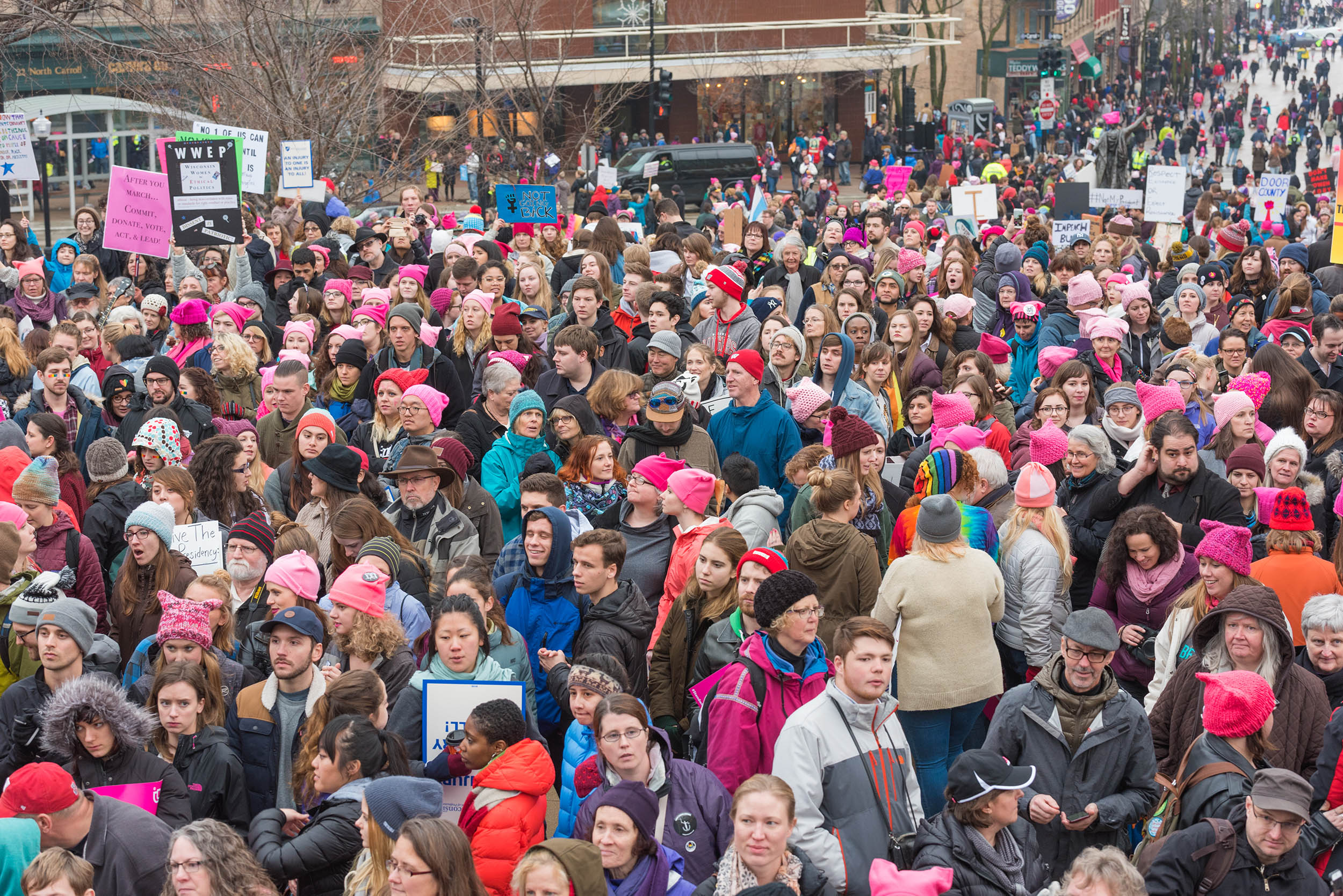 Women's March on Madison Wisconsin 1Lifeonearth